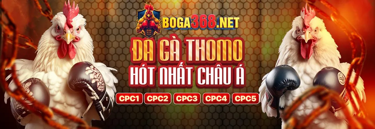Đá Gà Trực Tuyến ox88